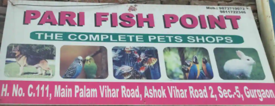 Pari Fish Point - Palam Vihar - Gurugram Image