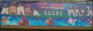 Fish & Pet Centre - Karol Bagh - Delhi Image