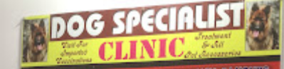 Dog Specialist Clinic - Sector 4 - Panchkula Image