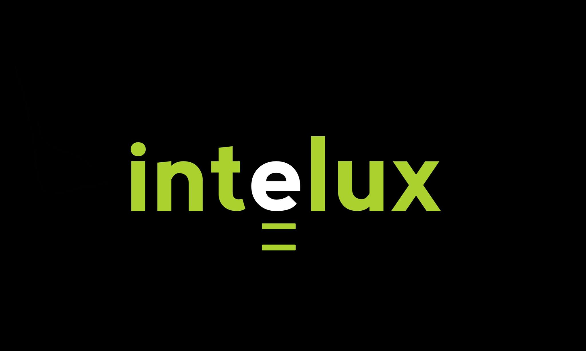 Intelux Electronics Private Limited - Parvati Paytha - Pune Image