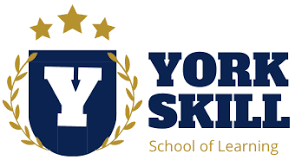 York Skill - Rajouri Garden - Delhi Image