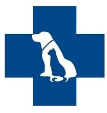 Faridabad Pet Clinic and Surgery Center - Sector 35 - Faridabad Image