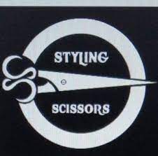 Styling Scissors - Vikas Nagar - Lucknow Image