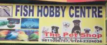 sFish Hobby Centre - Bhim Nagar - Gurugram Image