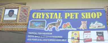 Crystal Aquarium Pet Shop - Pataudi Chowk - Gurugram Image