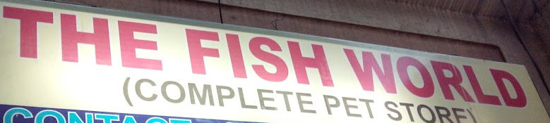 The Fish World Complete Pets Store - DLF City Phase 4 - Gurugram Image