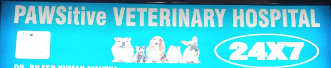 Pet Clinic Facility At Home - Badshahpur - Gurugram Image
