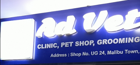 Ad Vet - Sector 47 - Gurugram Image