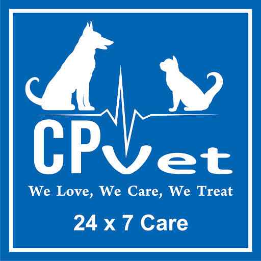 Cpvet pet clinic - Sector 31 - Gurugram Image