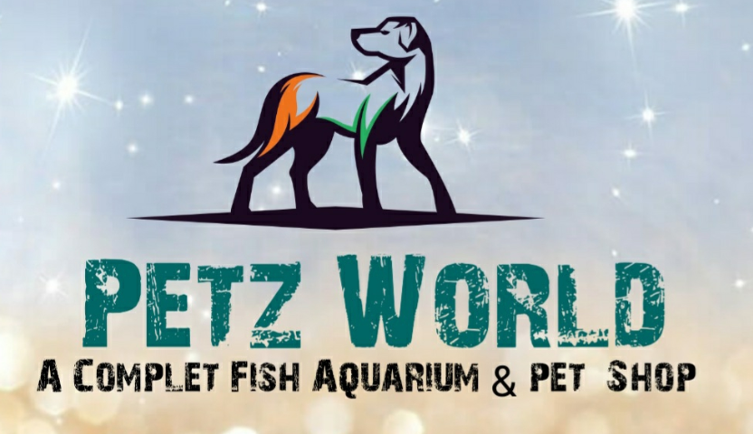 Petz World - Sector 33 - Gurugram Image