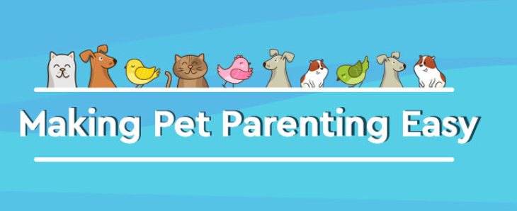 Petsutra - Petbuddy Products Pvt Ltd - Sector 49 - Gurugram Image