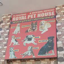 Royal Pet House - Ganga Nagar - Meerut Image
