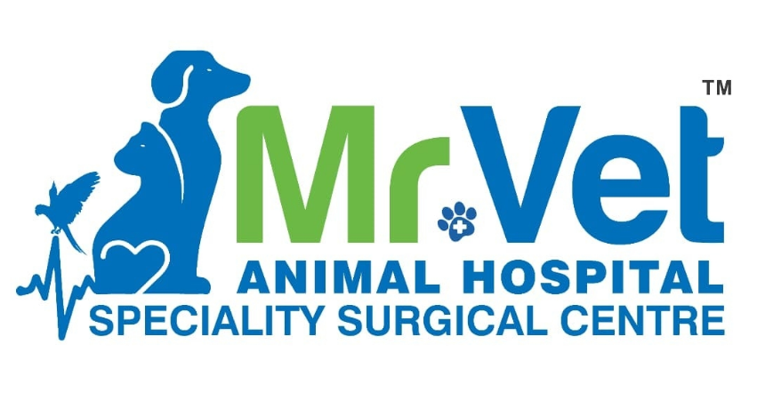 Mr Vet Animal Hospital - Gachibowli - Hyderabad Image