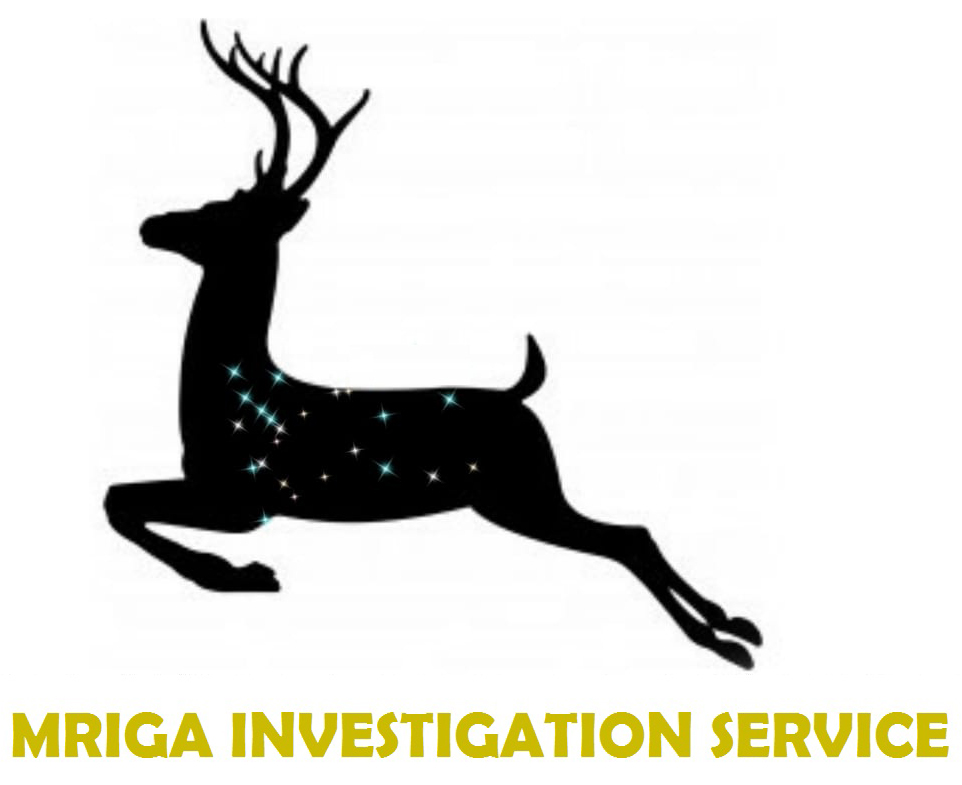 Mriga Management Services Image