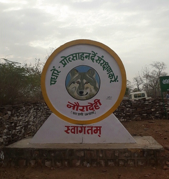 Nauradehi Forest Sanctuary - Madhya Pradesh Image