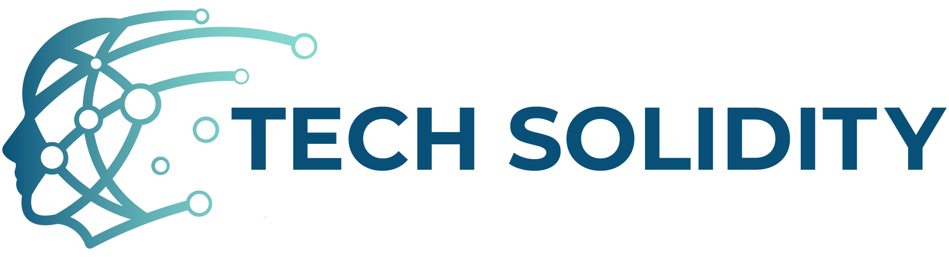 Techsolidity Image