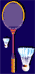 Badminton
