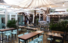 Out of the Blue - Khar - Mumbai