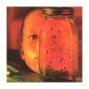 Jar Of Flies - Alice In Chains