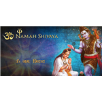 Om Namah Shivay - Shiv Dhun