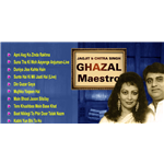 25 Years, 25 Great Songs Vol 1 - Jagjit Singh & Chitra Singh