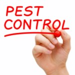 Tips on Pest Control