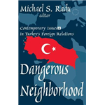Dangerous Neighborhood - Michael Radu
