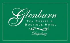 Glenburn Estate - Darjeeling
