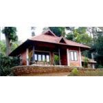 Misty Woods - Kodagu