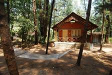 Jungle Lodges Devbagh Beach Resort - Uttara Kannada