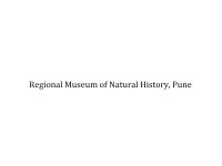 Regional Museum of Natural History - Pune
