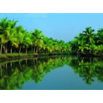 Tourkerala - Cochin 