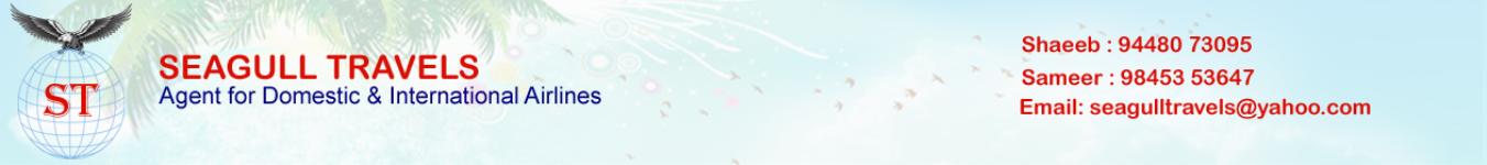 Seagull Travels - Mysore 