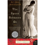 Space Between Us, The - Thrity Umrigar
