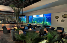 Zafran - Yerwada - Pune