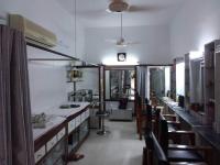 A Curly Top - Lucknow