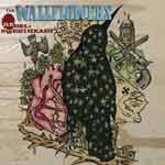 The Wallflowers - Rebel Sweetheart