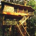 Vagamon Heights - Idukki