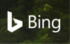 Bing