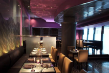 Oriental Octopus - Noida