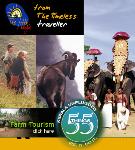 The Timeless Traveller - Chennai