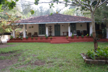 Wild at Northern Hay - Nilgiris