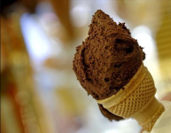 Happiness Ice Cream Parlour - City Centre - Udaipur