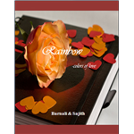 Rainbow Colors of Love - Barnali and Sajith