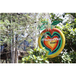 Mango Mist Resort - Bangalore