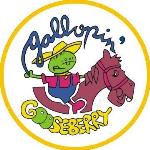 Gallopin Gooseberry - Besant Nagar - Chennai
