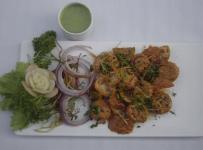 Bonsai - Connaught Place - Delhi