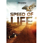 Speed Of Life