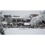 Hotel Akbar - Srinagar