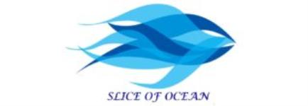 Aquarium Shop - Bangalore